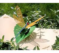 CUTPOPUp Dragonfly - Cartolina pop-up 3D di Cutpopup, design sofisticato, altamente qualificato IT