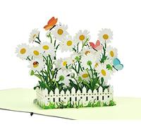 CUTPOPUPDaisy - Biglietto di compleanno 3D, con fiori a forma di margherita, per la festa della mamma, nonna, suocera, figlia, nipote per compleanni, festa della mamma, Natale, Capodanno IT