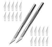 Cutter Di Precisione, 2 Pz Taglierino Cutter e 20 Lame di Ricambio in Acciaio, Coltello da Intaglio Artistici, Coltello da Innesto, Coltello Artigianale, Coltello da Innesto Giardino
