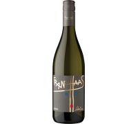 Cuvée Bianco 'Schweizer Manna' 2023 - Tenuta Franz Haas