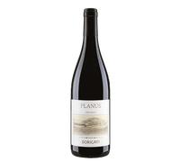 Cuvée rosso 'Planus' 2021 - Cantina Dorigati