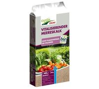 Cuxin Calce vitalizzante alle alghe marine 20 kg Calce alle alghe Calce per giar