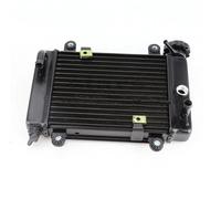 CVPX raffreddamentoolioradiatore Adatto per Moto Quad 4x4 ATV UTV 150cc 200cc 250cc Radiatore per Motocicletta Raffreddamento Serbatoio dell'Acqua Parti Accessori Raffreddatore