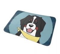 CWCMZDH Amichevole bovaro del Bernese, Cane Animale antiscivolo Zerbino Tappetino Tappeto per la Cucina Ingresso di Casa Balcone Zampa Stuoie