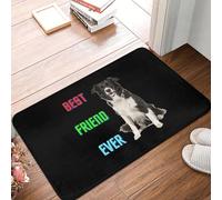CWCMZDH Migliore Amico di Sempre Border Collie Cane antiscivolo Zerbino Tappetino Tappeto per la Cucina, con Ingresso a Casa Camera da letto Zampa Stuoie