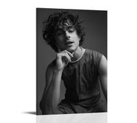 CWDRHD Timothée Chalamet - Stampa decorativa da parete moderna ultra trasparente, decorazione artistica squisita, adatta per ufficio, soggiorno e stanza, stile cornice, 20 x 30 cm