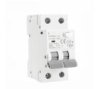 CWHHTVBI GYR9NM Tipo CA 2P 4P Magnetico con sovracorrente e perdite Guida DIN 10A 16A 25A 32A 40A 1 Pezzo(30mA,2P 25A)