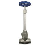 CWHHTVBI Valvola di ritegno a Stelo Lungo saldata manualmente a Testa DN25 e DN40 in Acciaio Inossidabile SS304(DN40)