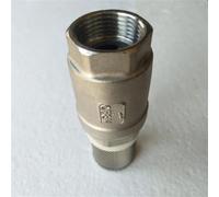 CWHHTVBI Valvola di ritegno con Filtro Fondo in Acciaio Inox Filtro Valvole filettate Staccabili DN15/20/25/32/40/50(DN32)