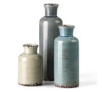 CwlwGO - Set di 3 vasi in ceramica, piccoli vasi per la decorazione della casa di campagna, decorazione moderna per il soggiorno, decorazione natalizia da tavolo, libreria, camino e decorazione