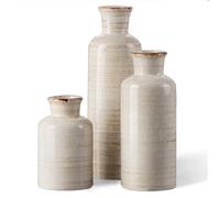 CWLWGO- VASE CERAMICA Set da 3 pezzi, piccoli vasi di fiori per decorazioni per la casa, decorazione moderna della fattoria, soggiorno, scaffale da tavola, centrotavola, decorazioni per camino e