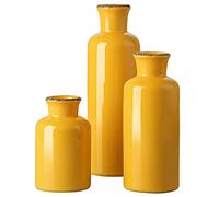 CWLWGO- VASE CERAMICA Set da 3 pezzi, piccoli vasi di fiori per decorazioni per la casa, decorazione moderna della fattoria, soggiorno, scaffale da tavola, centrotavola, decorazioni per camino e