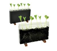 CWR - 12892 - Contenitore Esplora il sottosuolo - 30 x 19 x 4 cm - Cwr - 99838 - Conf. da 1 Pz.