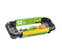 CWR - 12929 - Serra con coperchio - con 12 pastiglie torba - 27 x 12 cm - Cwr - 99837 - Conf. da 1 Pz.