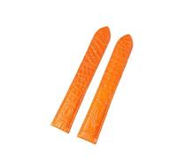 CWZZWS Crocodile Leather Watch cinghia compatibile con compatibile con London Solo Watchband Mins Women 12 14 16 17 17,5 mm (oro verde, 17,5 mm)