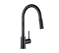 CWZZWS Rubinetti da Cucina Manico Singolo Matto tiro Verso Il Basso Mixer Tocco Singolo Foro 1 con spruzzatore Girevole d'Acqua a 360 Gradi, rubinetti da Cucina