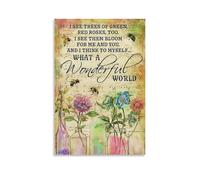 CXMAKNZ Poster applicabili a Dona Flora, pittura a olio su tela, decorazione artistica da appendere, per casa, soggiorno, camera da letto, sala da pranzo, 20 x 30 cm, senza cornice