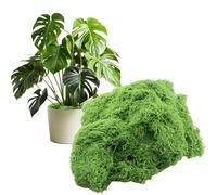 CXMTECH Finto muschio verde in vaso, 99,2 g, decorazione artificiale fai da te, muschio, centrotavola, finto muschio, verde, micro paesaggio, Wigwam, prato, per bonsai, tavolo da matrimonio