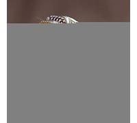 CXWK Anello retrò con Teschio e Fiori per Uomo e Donna Anello con Pietra Verde Anello con Scheletro Selvaggio Vintage Anelli con Motivo a Fiori antichi