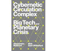 Cybernetic Circulation Complex: Big Tech and Planetary Crisis