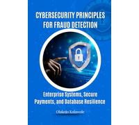 Cybersecurity Principles for Fraud Detection: Enterprise Systems, Secure Payments, and Database Resilience