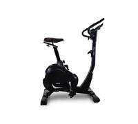 Cyclette BH Artic Dual