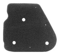 cyclingcolors 1x Filtro Aria in Schiuma Compatibile con APRILIA SR 50CCfiltro motore scooter moto air box carburatore filtrazione
