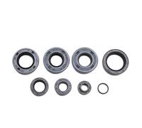 cyclingcolors 8x paraolio motore moto scooter ciclomotore compatibile con minarelli am6 aprilia rs beta rr mbk rieju rr smx rs1 spike yamaha dtr tzr