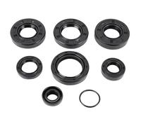 cyclingcolors 8x Paraolio per moto, scooter, ciclomotore, compatibile con AM6, Minarelli, Beta, RR, Rieju, MRT, Sherco
