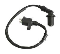 cyclingcolors Bobina accensione moto ciclomotore scooter compatibile con gy6 152qmi sym hd evo joyride