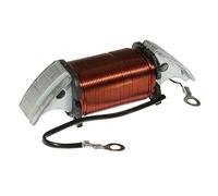 cyclingcolors Bobina accensione moto ciclomotore scooter compatibile con piaggio 50 ciao px bassa tensione interna