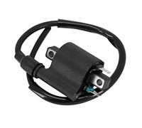 cyclingcolors Bobina accensione moto ciclomotore scooter compatibile con yamaha neo's nitro xmax 50 125 ybr yzf 12v 2 cosses