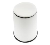 cyclingcolors filtro aria moto ciclomotore scooter compatibile con rieju 50 mrx smx 0/001.070.500