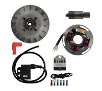 cyclingcolors kit accensione elettronica moto ciclomotore compatibile con PIAGGIO VESPA GT/GL/SPRINT/SUPER/VNA/VBA/VNB Ø 17