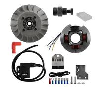 cyclingcolors kit accensione elettronica moto ciclomotore compatibile con PIAGGIO VESPA PK Ø20