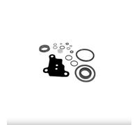cyclingcolors Kit di riparazione del cilindro dello sterzo VPJ4007, anello di tenuta del ponte dell'assale, compatibile con trattore Massey Ferguson Landini