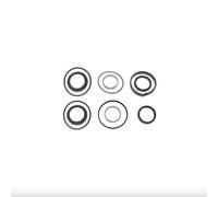 cyclingcolors Kit di riparazione del cilindro dello sterzo VPJ4022, anello di tenuta del ponte dell'assale, compatibile con trattore Massey Ferguson Landini