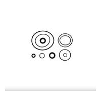 cyclingcolors Kit di riparazione della pompa dello sterzo VPJ4003, guarnizione del ponte dell'assale, anello di tenuta del trattore compatibile con Massey Ferguson