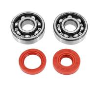 cyclingcolors paraolio + cuscinetto di biella moto scooter ciclomotore compatibile con am6 minarelli mbk xpower yamaha tzr rieju mrt beta rr 6303-2rs