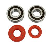 cyclingcolors Paraolio + cuscinetto di biella per moto, scooter, ciclomotore, compatibile con MBK Booster Nitro, Yamaha, BW's, Aerox, Aprilia, SR CPI, Keeway 6204