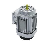 CYFANG Motore asincrono CA 6324 Flangia 63B14 0,18 KW 380 V CA Motore a induzione trifase 1330 giri/min Albero da 11 mm Alloggiamento in alluminio meccanicamente