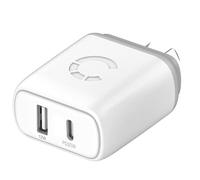 Cygnett PowerPlus 32W USB-C PD Dual Port Wall Charger - Caricabatterie con porte USB-C (20 W) e USB-A (12 W) - Spina Europea - Bianco - CY3626POFLW