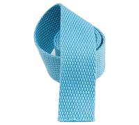 CYJAZNHH Nastro per fettuccia, Cinghia in fettuccia di Cotone e Poliestere Pesante da 20 mm, 5-20 Iarde, for Manici di Borse, Artigianato, Multicolore(Sky Blue,20 Yard)