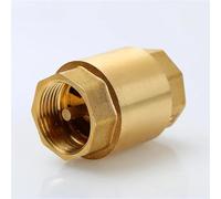 CYL-WST01 DN15/DN20/DN25 NPT Valvola di ritegno a molla in linea con filettatura femmina in ottone, diametro 25 mm, 200WOG, 1 pezzo (3 l4 pollici)
