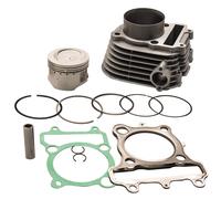 Cylinder Piston Gasket Chain for Timberwolf 250, Year 1992 1993 94 95 96 97-2000