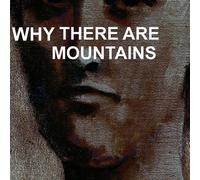 Cymbals Eat Guitars - Why There Are Mountains