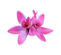 Cymbidium - Fermaglio per capelli a forma di fiore, da viaggio, accessorio per lo styling dei capelli da sposa, elegante, per capelli sottili