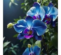 Cymbidium Orchidea, facile da pulire, ideale per interni, rizomi cymbidium, momenti di felicità, durabilità invernale selvaggia, orchida, colibrì di alta qualità, 15 cipolle