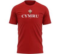 Cymru - Maglietta da uomo, da rugby, motivo: Principe di Galles Nazioni Galles, Rosso, L