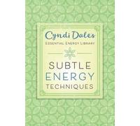 Cyndi Dale Subtle Energy Techniques (Tascabile)